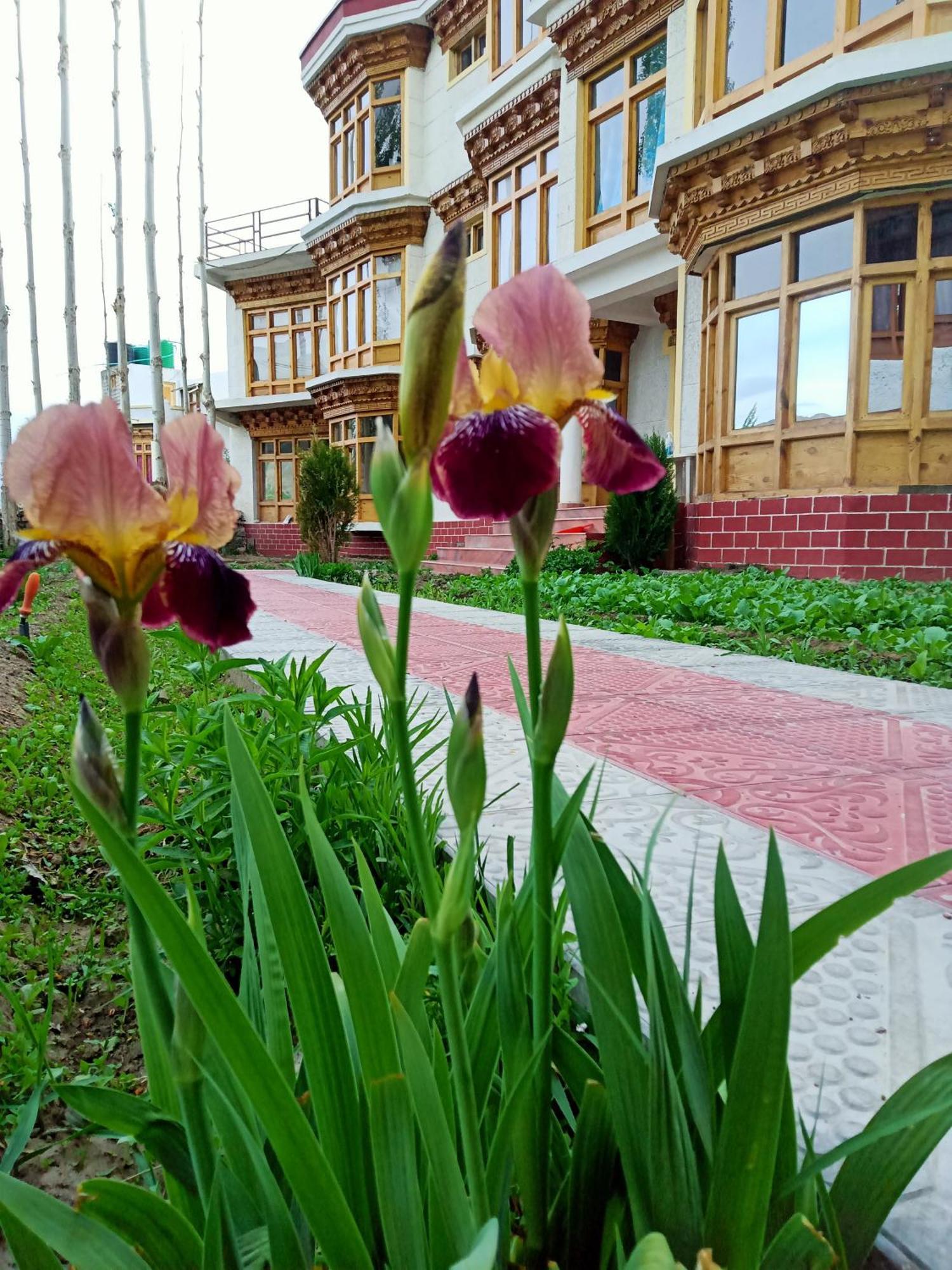 Zee Guest House 레 객실 사진
